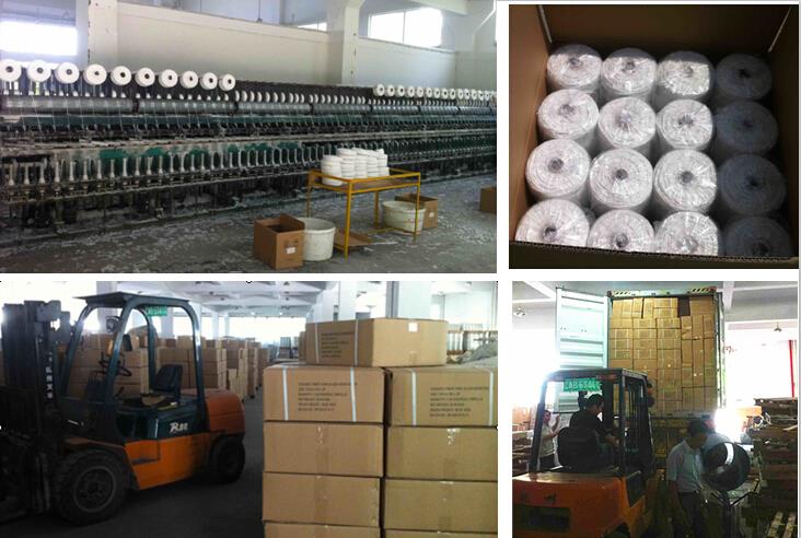 Tenglong-yarn.jpg Tenglong-yarn.jpg